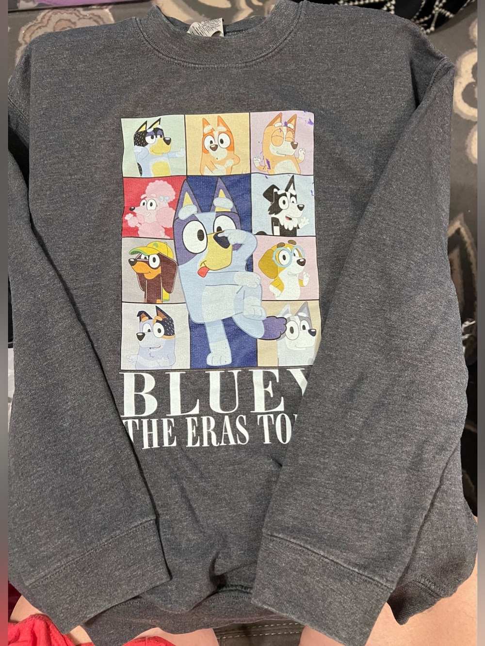 Bluey The Eras Tour Sweatshirt Youth Large Gray Graphic Crewneck Pullover